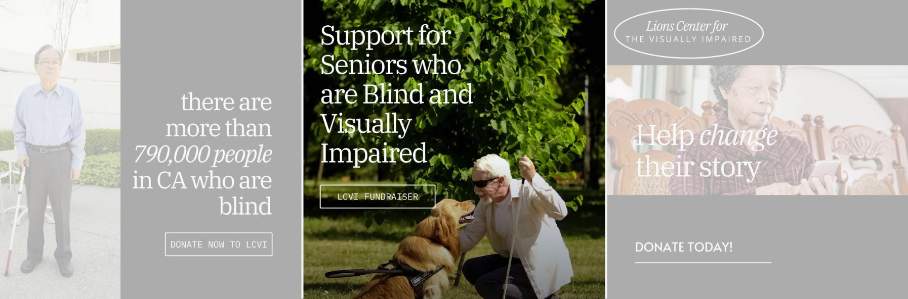 Graphic with text – there are more than 790,000 people in CA who are blind